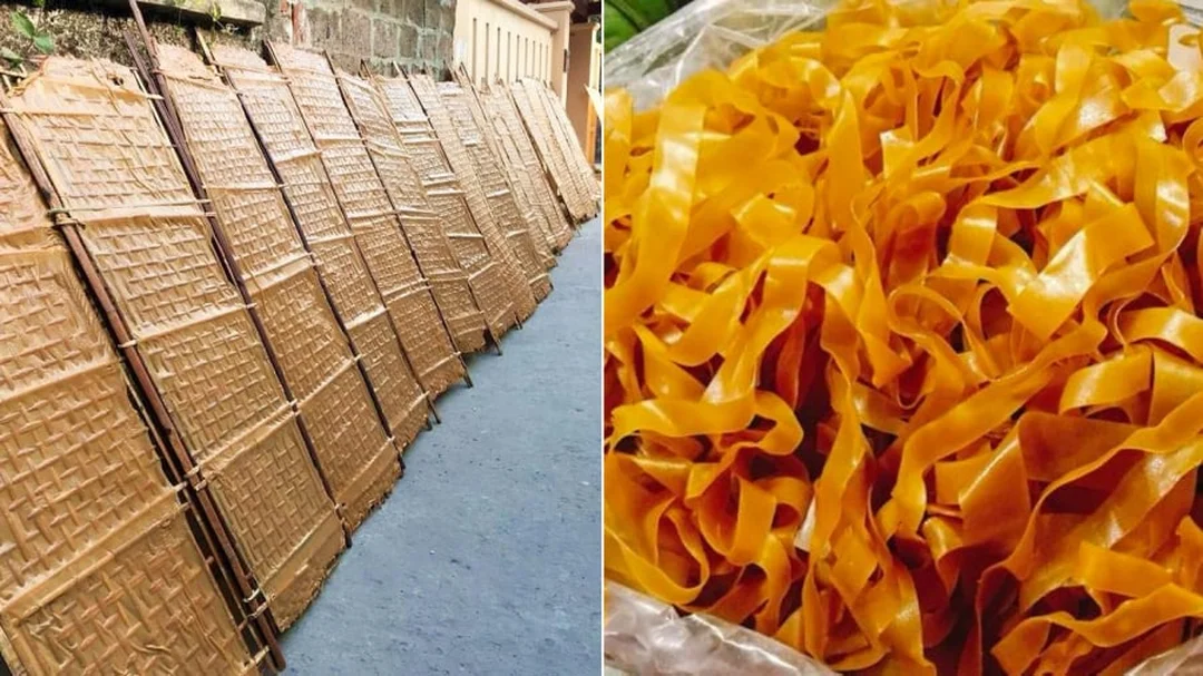 Bánh đa đỏ đang được tráng và phơi trước khi cắt sợi ở Hải Phòng