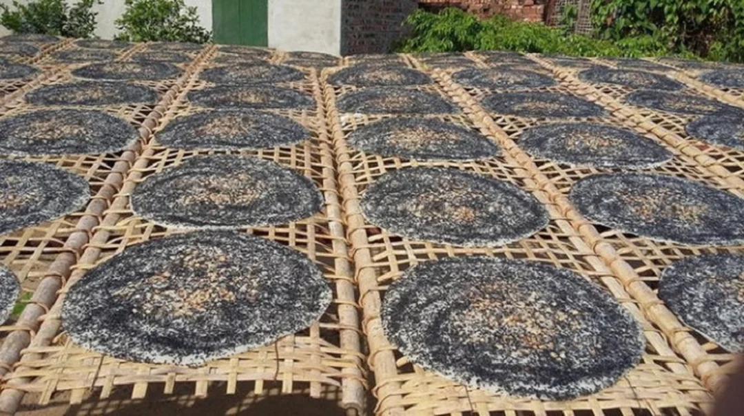 bánh đa kế bắc giang được phơi trên phên tre tại làng nghề