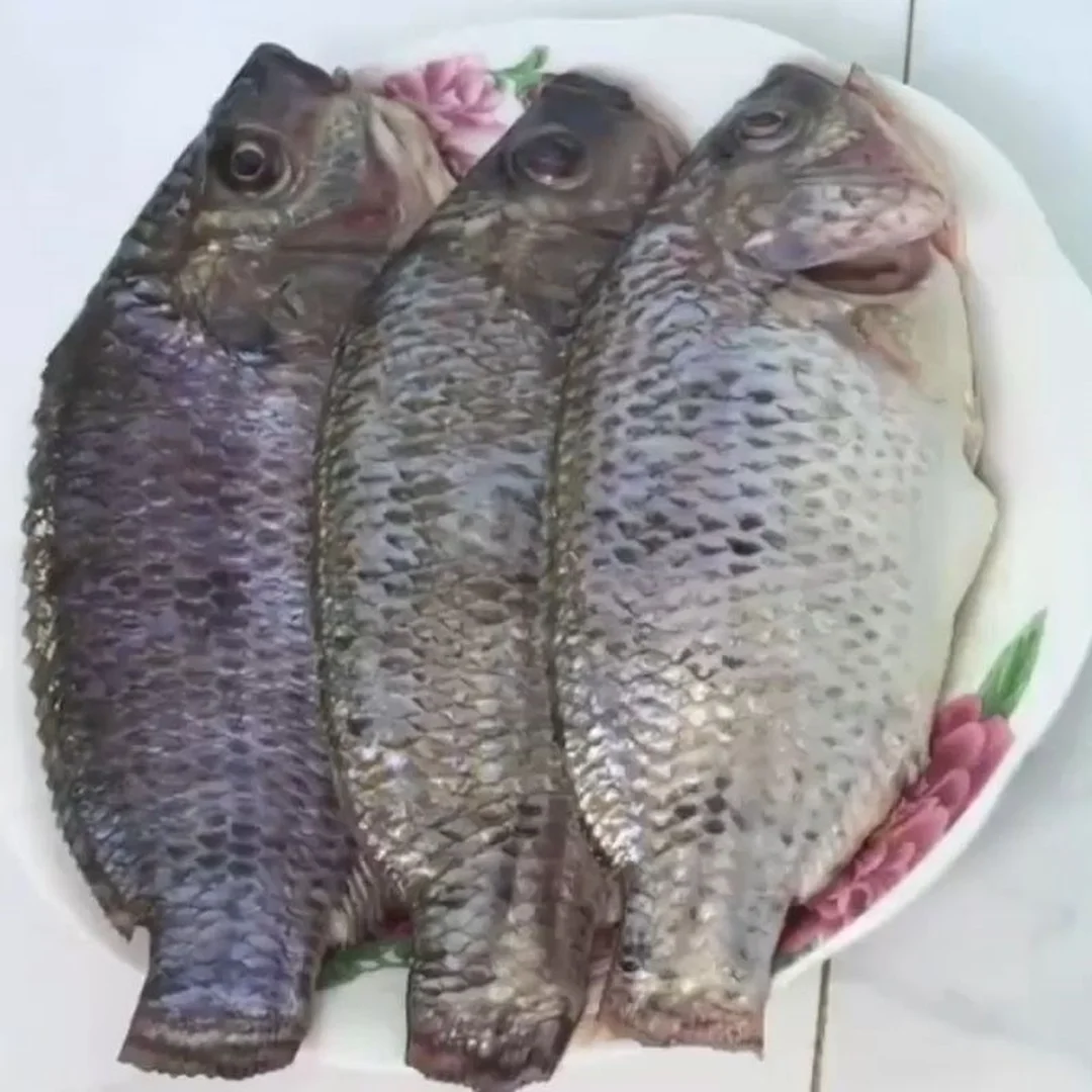 Sơ chế cá rô đồng để nấu bánh đa cá rô đồng