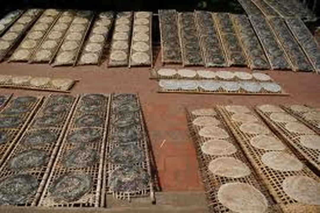 Bánh đa Bắc Giang rắc lạc vừng trước khi phơi bánh đa Bắc Giang rắc lạc vừng trước khi phơi