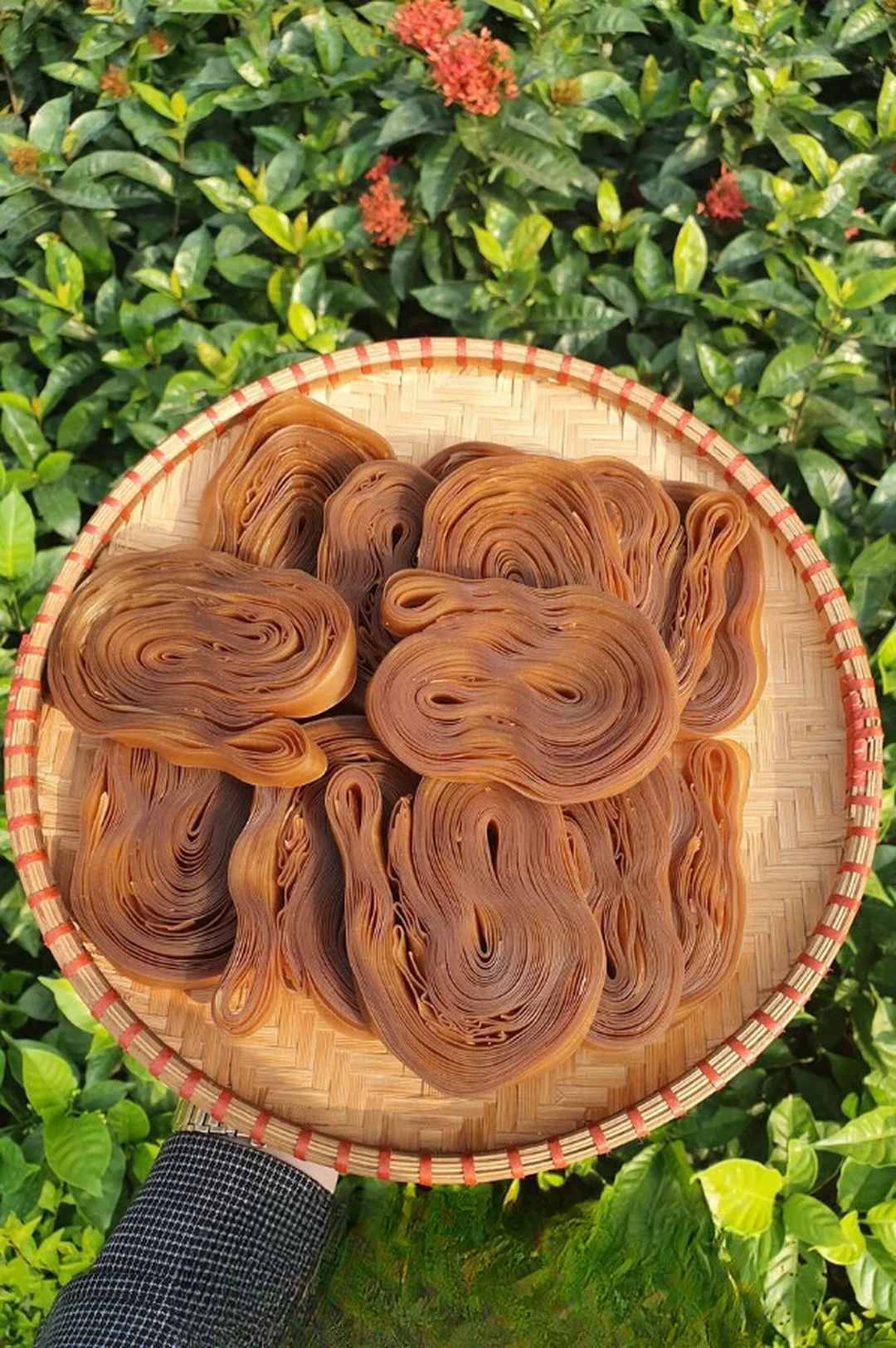 Bánh đa đỏ làm từ gì khi đóng gói và bảo quản bánh đa đỏ làm từ gì khi đóng gói và bảo quản