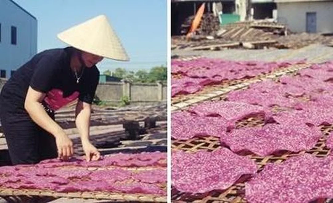 bánh đa nghệ an đóng gói bán tại cửa hàng đặc sản