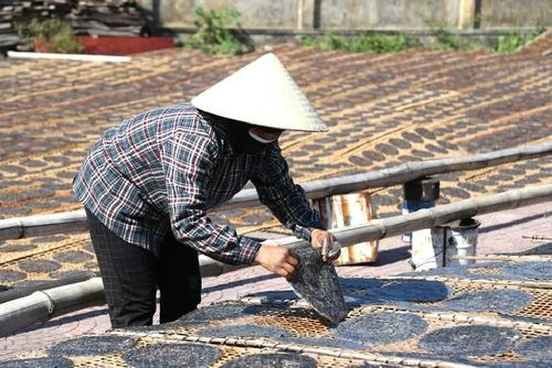 bánh đa nghệ an được trở đều khi phơi nắng