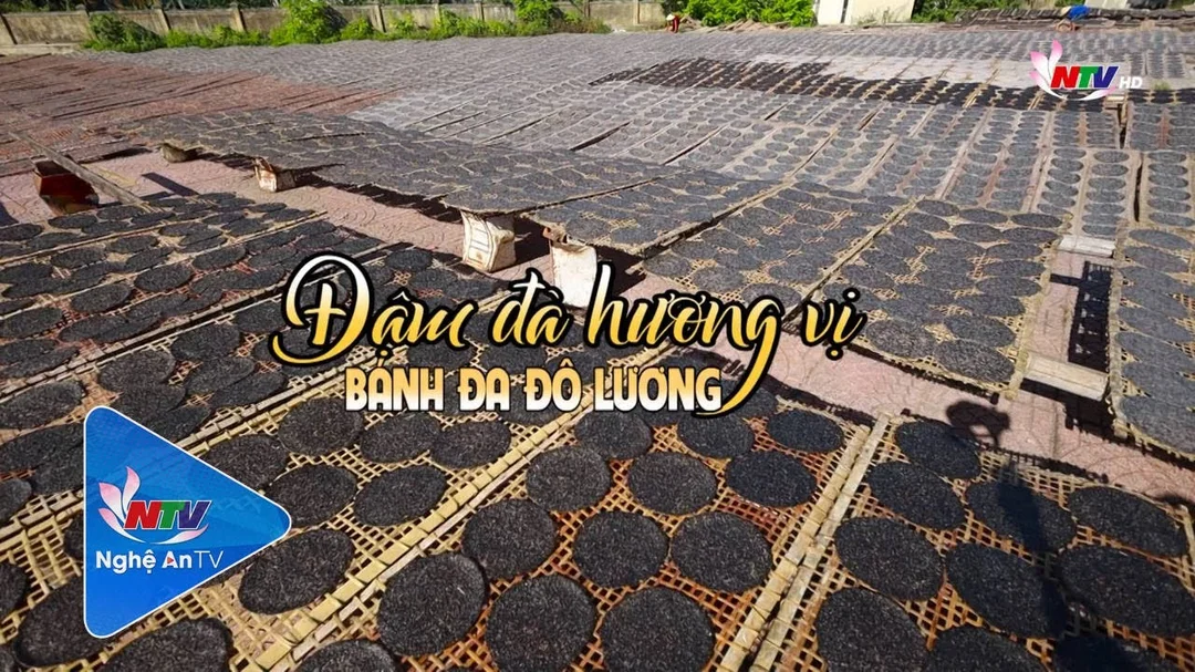 Đậm đà hương vị bánh đa Đô Lương